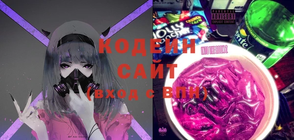 амф Дубна