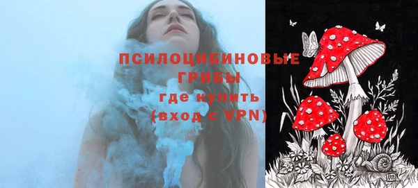 прущая мука Коряжма